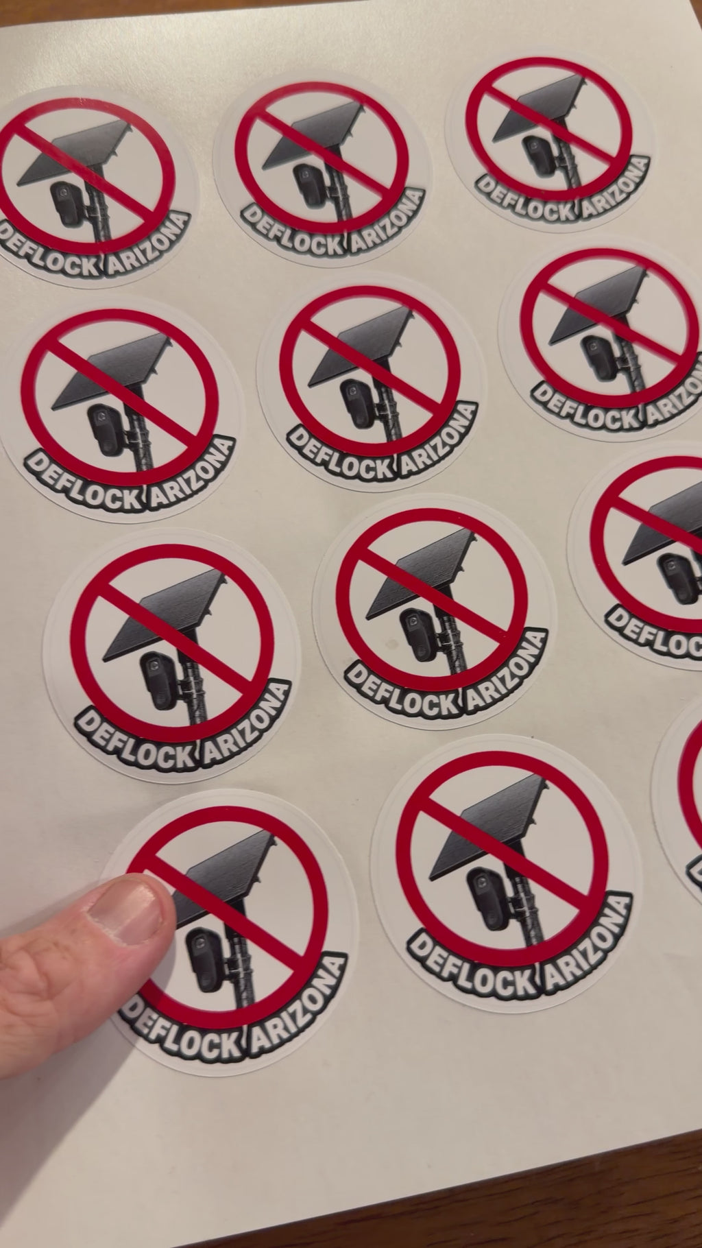 DeFlock Arizona | Anti Surveillance | Vinyl Sticker Sheet | Waterproof | Camera Sticker | + Custom States