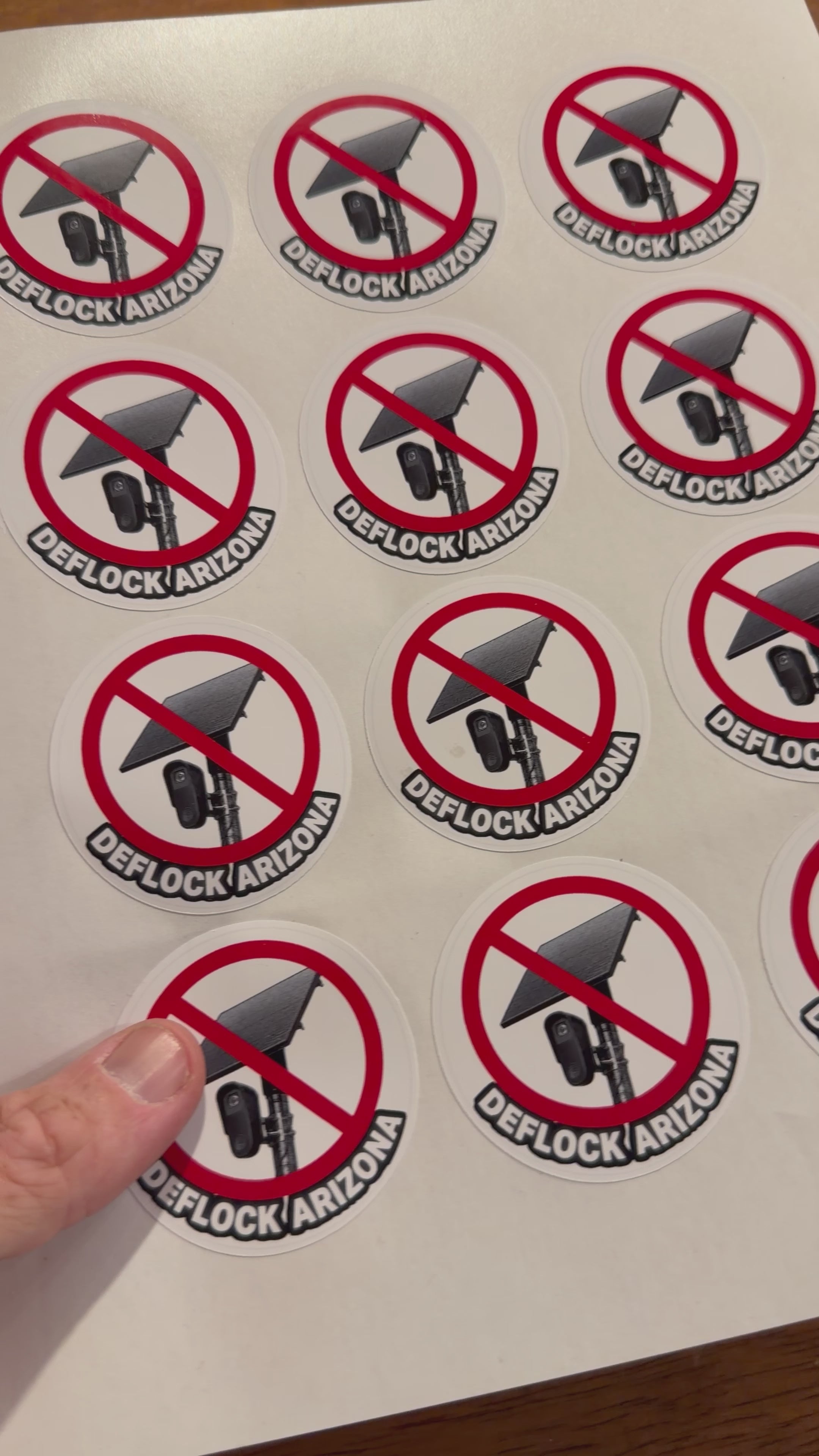 DeFlock Arizona | Anti Surveillance | Vinyl Sticker Sheet | Waterproof | Camera Sticker | + Custom States